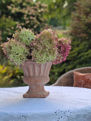 Terracotta Urn with Scalloped Edge