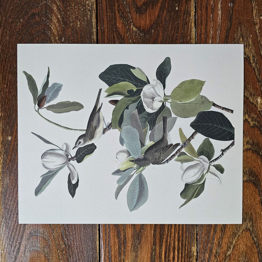 Vintage Bird with Blossoms Art Print - Farmhouse Wares