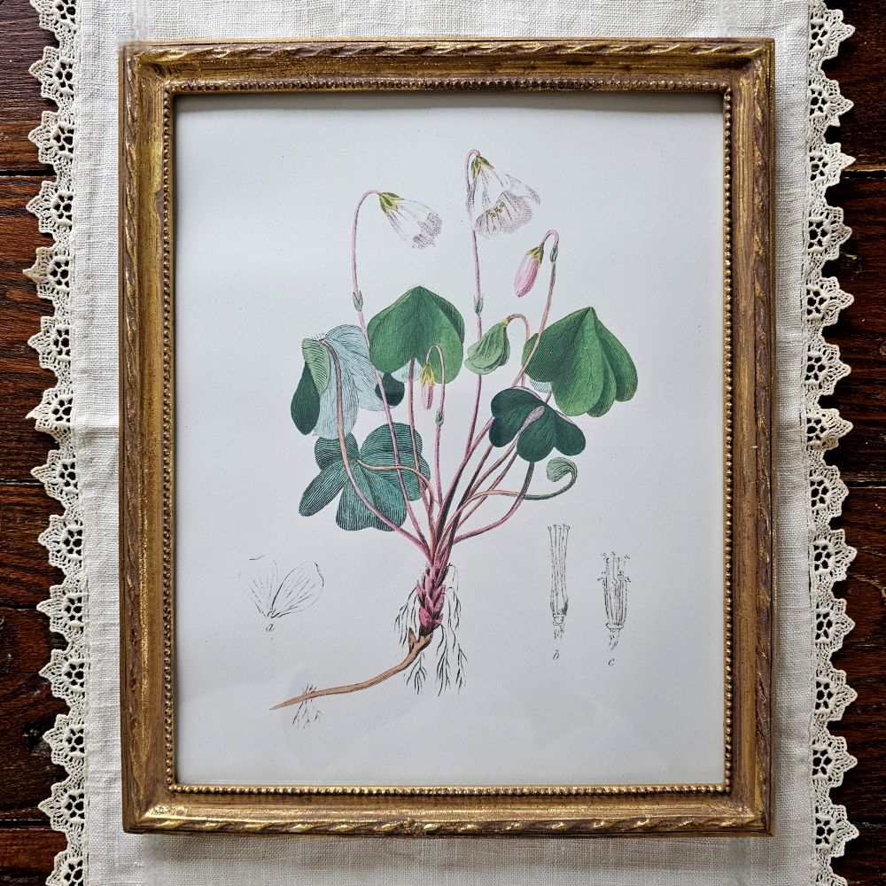 Add instant antique style charm to any photo or print with this Vintage Gold Twist Picture Frame. The frame comes with this vintage shamrock print and features a distressed gold twist design along the edge with a gold bead detail on the inner edge. It includes glass and holds an 8 x 10 image/print. Made of resin with saw-tooth holders on the back, it can be hung both vertically or horizontally.