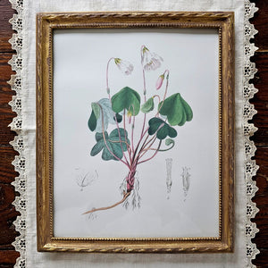 Add instant antique style charm to any photo or print with this Vintage Gold Twist Picture Frame. The frame comes with this vintage shamrock print and features a distressed gold twist design along the edge with a gold bead detail on the inner edge. It includes glass and holds an 8 x 10 image/print. Made of resin with saw-tooth holders on the back, it can be hung both vertically or horizontally.