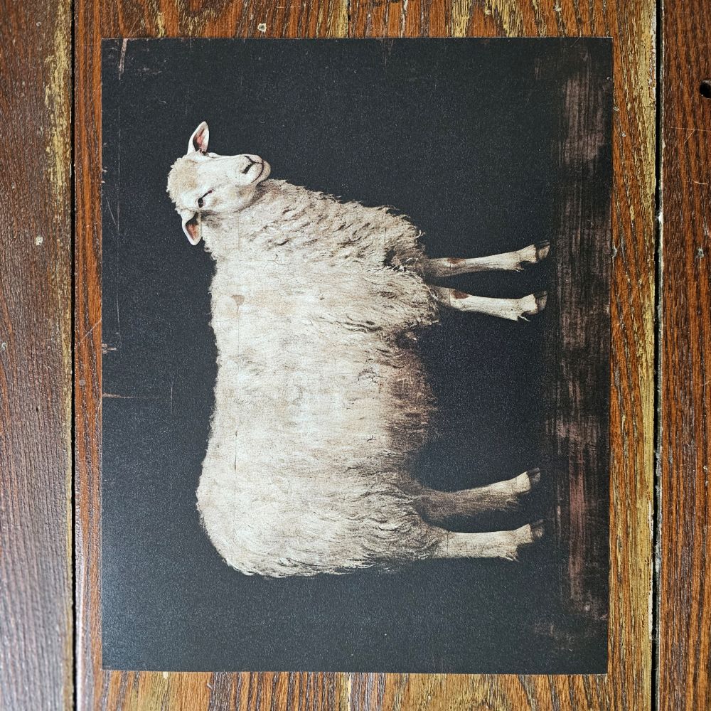This beautiful art print features a white sheep on a moody, dark background. This vintage reproduction print that lends an antique charm to any room.&nbsp; It is printed on high quality card stock with archival ink. Original art has been digitally retouched to preserve characteristics, grain and cracks. Image size: 10"L x 8"H. Frame not included.