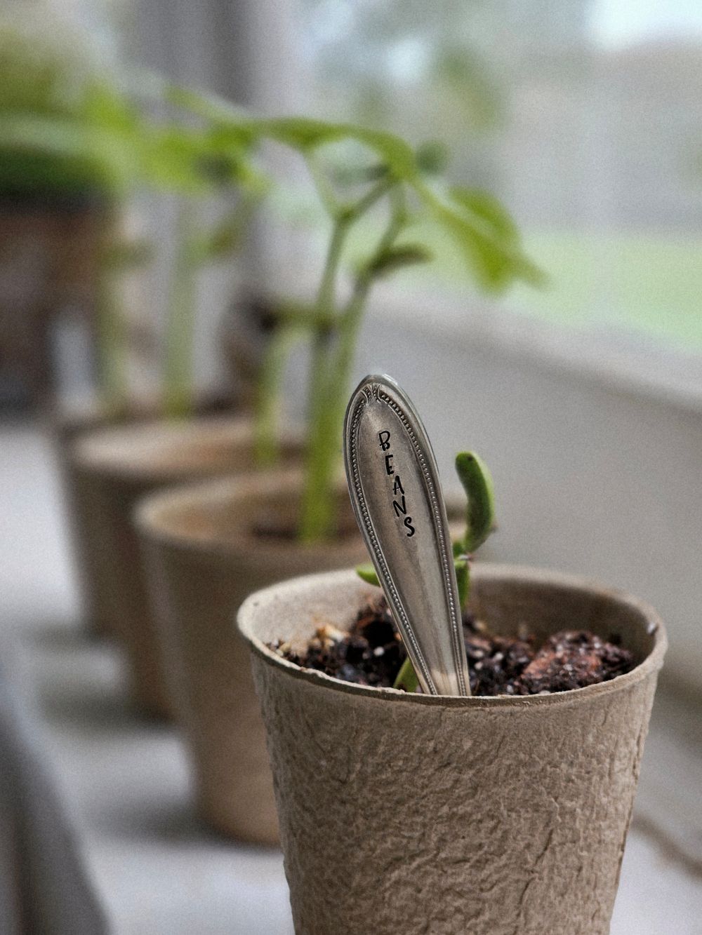 So sweet! So vintage! These darling Vintage Serveware Stem Herb Markers come as a set of five in various shapes, sizes and plant variety. No two sets are alike!&nbsp; Found at flea markets and antique shops, these vintage markers are hand-etched and offer unique charm. Due to their vintage nature, flatware pieces may show signs of age and gentle use. No two are alike and the handles and plant variety will vary with each set.Hand wash recommend. Set of five. Each approximately 3.5-5"H. Found in the US