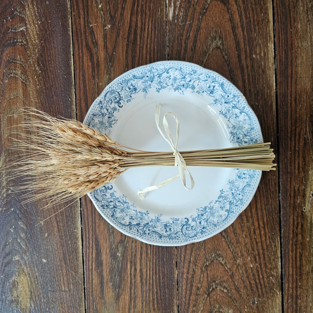 Celebrate the warmth of the harvest season with this Dried Wheat Bundle. Symbolic of a bountiful harvest, this heavy-headed wheat accent makes an elegant statement for any farm table or shelf. Bring nature's beauty to your country style decor with this small wheat bouquet. 5.5”L x 12”H