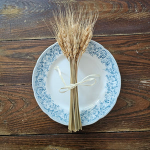 Celebrate the warmth of the harvest season with this Dried Wheat Bundle. Symbolic of a bountiful harvest, this heavy-headed wheat accent makes an elegant statement for any farm table or shelf. Bring nature's beauty to your country style decor with this small wheat bouquet. 5.5”L x 12”H