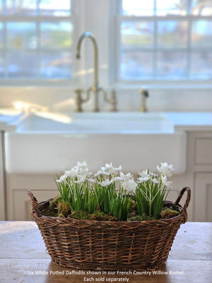 French Country Willow Basket with Braided Rim