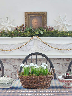 Decorative mantel with potted white daffodils in a French Country Willow Basket, framed portrait, and star decorations.