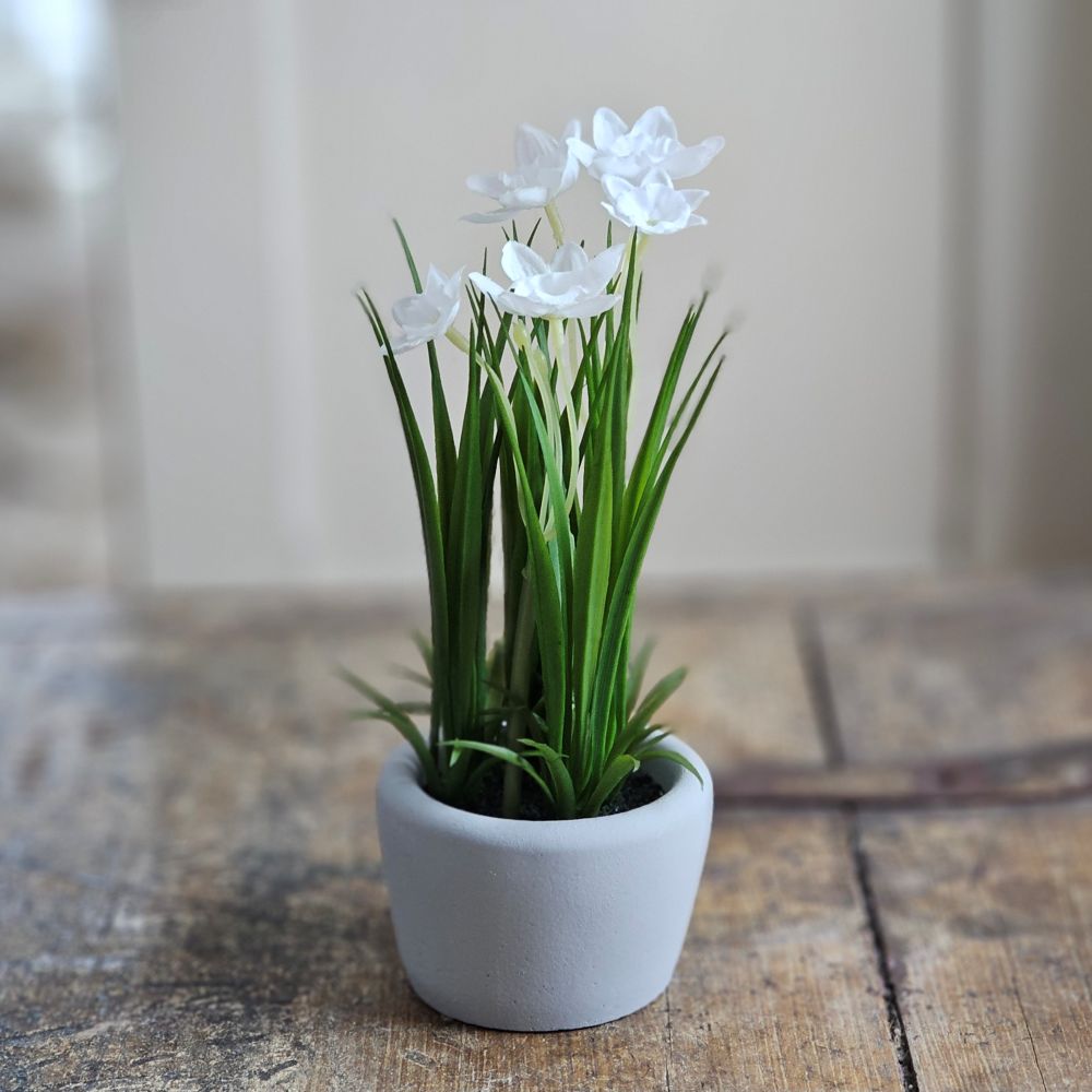 Bring understated elegance to your decor with our Potted White Daffodils. These meticulously crafted faux narcissus blooms showcase pristine white petals and delicate green foliage, capturing the refined beauty this iconic flower. The light gray ceramic pot complements any interior aesthetic, while its compact design allows for seamless integration into existing arrangements, baskets, or display shelves. A timeless accent that delivers year-round freshness without maintenance.