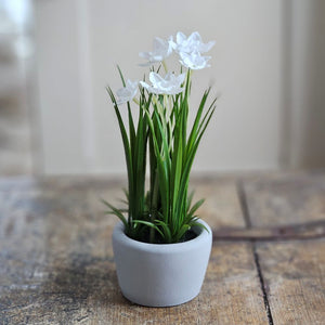 Bring understated elegance to your decor with our Potted White Daffodils. These meticulously crafted faux narcissus blooms showcase pristine white petals and delicate green foliage, capturing the refined beauty this iconic flower. The light gray ceramic pot complements any interior aesthetic, while its compact design allows for seamless integration into existing arrangements, baskets, or display shelves. A timeless accent that delivers year-round freshness without maintenance.