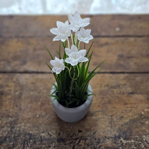 Bring understated elegance to your decor with our Potted White Daffodils. These meticulously crafted faux narcissus blooms showcase pristine white petals and delicate green foliage, capturing the refined beauty this iconic flower. The light gray ceramic pot complements any interior aesthetic, while its compact design allows for seamless integration into existing arrangements, baskets, or display shelves. A timeless accent that delivers year-round freshness without maintenance.