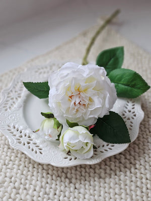 White Rose Long Stem Spray