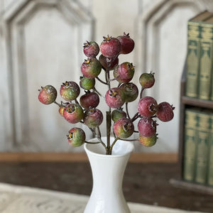 Add countryside charm to your seasonal arrangements with our Winter Crabapple Spray pick. This striking faux branch, featuring lifelike crabapple clusters in rich reds and faded greens is accented with a delicate hint of frost detailing. The realistic botanical design brings natural elegance to winter bouquets and holiday displays, offering year-round beauty without maintenance. 