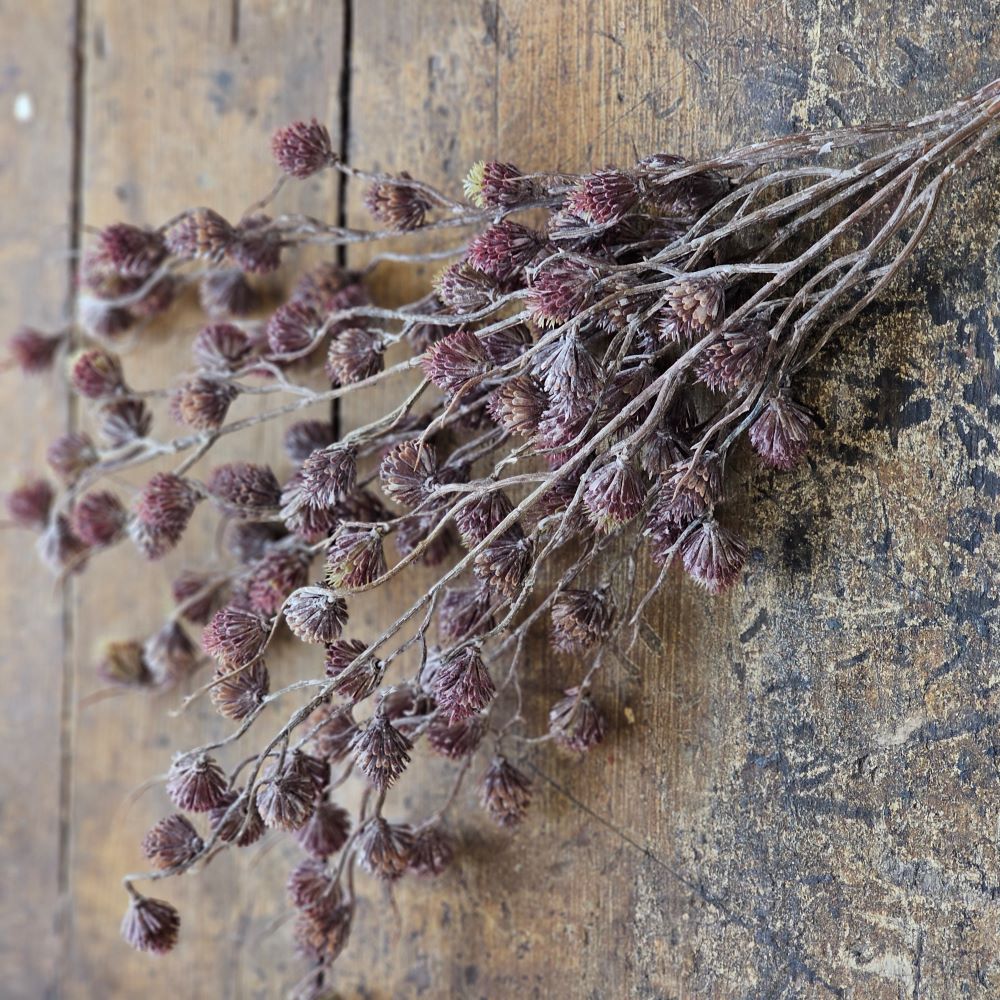 The Winter Spur Seed Bush adds a rustic, down-to-earth charm to any room. Branching stems are peppered with small spurs that resemble tiny pine cones. A nice variation of brown and plum tones topped with a slight white wash gives them a unique and magical woodland appearance. 