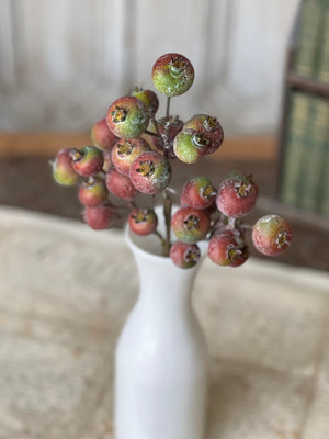 Add countryside charm to your seasonal arrangements with our Winter Crabapple Spray pick. This striking faux branch, featuring lifelike crabapple clusters in rich reds and faded greens is accented with a delicate hint of frost detailing. The realistic botanical design brings natural elegance to winter bouquets and holiday displays, offering year-round beauty without maintenance. 