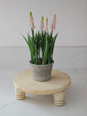 The Chapati Board is a long-standing household necessity in homes across India. These authentic, refurbished Vintage Bleached Chapati Boards take a modern turn as a home accent. No two are alike. These round wood slabs with small legs make unique farmhouse display pedestal risers. Use as a trivet or to display candles, plants and more. They're rich history leaves the wood with cracks and aged patinas. 