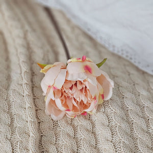 Spring style is made easy with our Cottage Pink Peony Pick. This faux peony features fabric petals in soft pink with green leaves on a plastic brown stem. The stem is long, slender, and flexible and is easily shaped for a desired look. It can be displayed alone for a simple pop of color or arranged into a bouquet. It easily fits into baskets, buckets, and milk cans and more. Includes one pick.