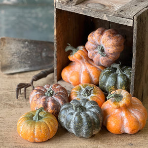 Fall's Harvest Mini Pumpkin Gourd Set