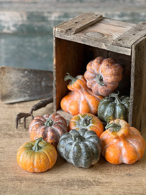 Fall's Harvest Mini Pumpkin Gourd Set