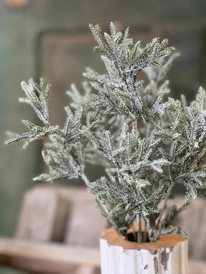 A touch of sparkle gives this Snow Dusted Pine Bush a magical, wintry feel. Each bush has realistic pine branches with frosty coating of faux snow completed with a subtle touch of glitter. This gently flocked bough looks charming alone or tucked into a winter bouquet. 