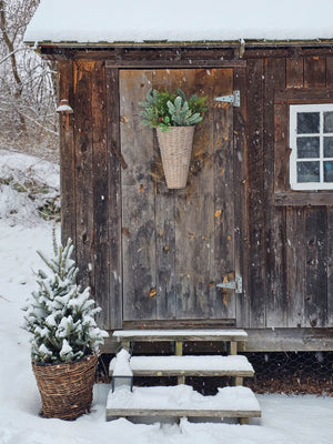 Weathered Willow Wall Basket