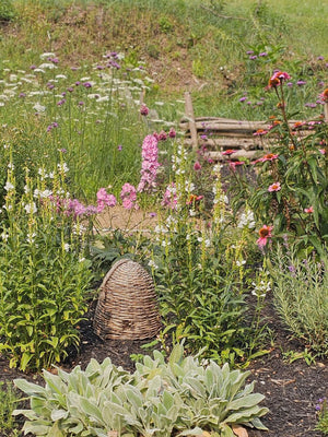 Willow Bee Skep