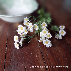 White Chamomile Flower Spray features white chamomile flowers and green leaves on a long and slender green plastic stem. Spray has fabric petals and a flexible stem that can be bent and adjusted as desired. It looks great in a can, jar, or pitcher and it makes a statement alone or in an arrangement. Measures 20"H