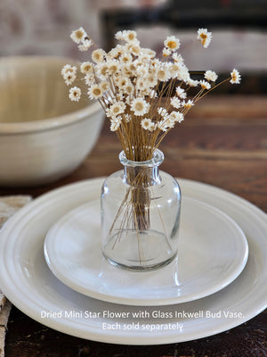 Glass Inkwell Bud Vase Bottle Set