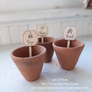 Herb Markers with Mini Terracotta Pots