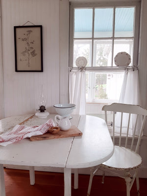 Queen Anne's Lace Framed Illustration Print