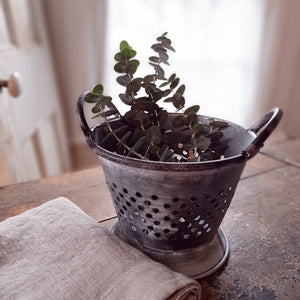 Made of galvanized metal, our Rustic Tin Colander is a decorative colander with a weathered, distressed finish. It has a widened base, a repeating hole pattern, and a pair of carrying handles. Create the perfect centerpiece for your farm table or add to any kitchen shelf for instant charm. This Rustic Tin Colander makes the ideal display for dried flowers, potpourri, decorative eggs