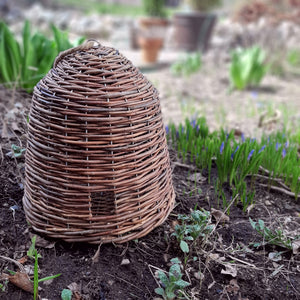 Bee Skeps are perfect for obtaining the look of an old English Country Garden. This Willow Bee Skep makes a great addition to any tabletop or bookcase, as the handwoven quality lends a beautiful texture to any decor. Let this natural Bee Skep make a charming addition to your farmhouse décor. Features a fully enclosed skep with a little door and a jute rope for hanging if desired. 10" Diam x 10"H